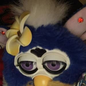 Meet your Posher, River